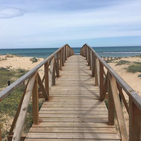 Mimosa Apartment Guardamar del Segura Εξωτερικό φωτογραφία