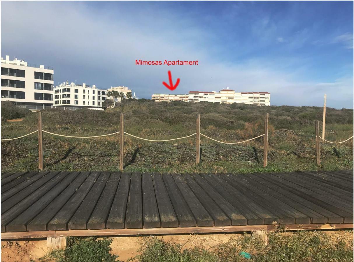 Mimosa Apartment Guardamar del Segura Εξωτερικό φωτογραφία