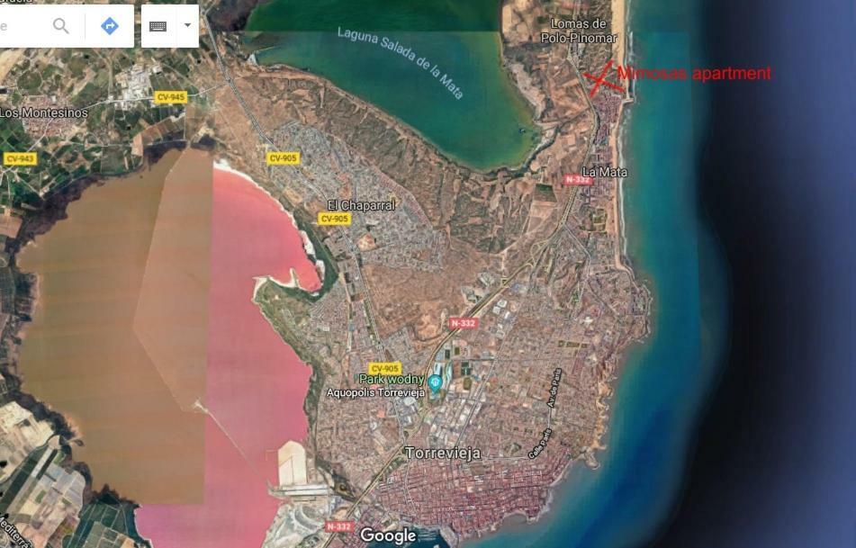 Mimosa Apartment Guardamar del Segura Εξωτερικό φωτογραφία