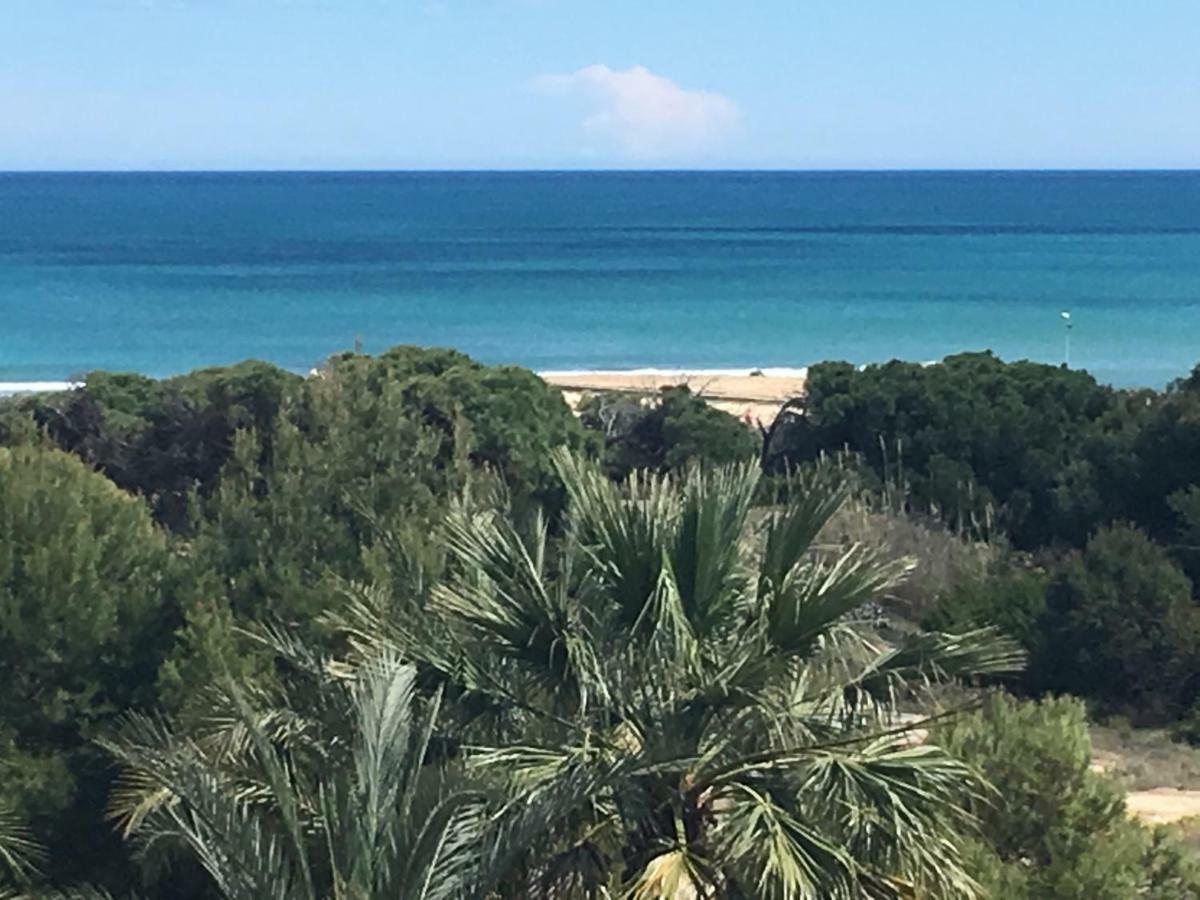 Mimosa Apartment Guardamar del Segura Εξωτερικό φωτογραφία